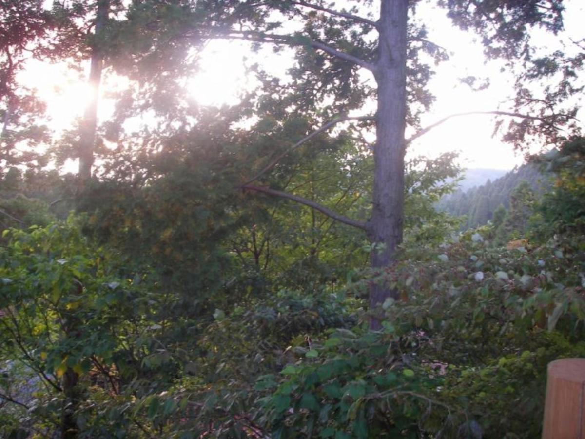 Log House For 12 People - Vacation Stay 35071V Minamioguni Esterno foto